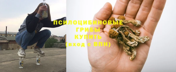 метадон Анжеро-Судженск