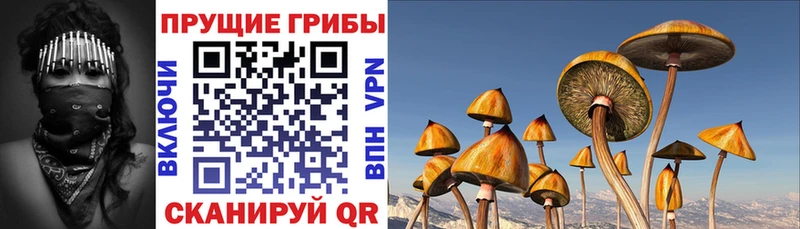 MEGA ссылка  Томилино  Псилоцибиновые грибы Magic Shrooms 